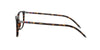 Polo PH2224 Eyeglasses | Size 56 / Shiny Dark Havana