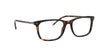 Polo PH2224 Eyeglasses | Size 56 / Shiny Dark Havana