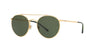 Polo PH3114 Sunglasses | Size 51 / Shiny Gold / Bottle Green (3N 9.7%)