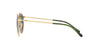 Polo PH3114 Sunglasses | Size 51 / Shiny Gold / Bottle Green (3N 9.7%)