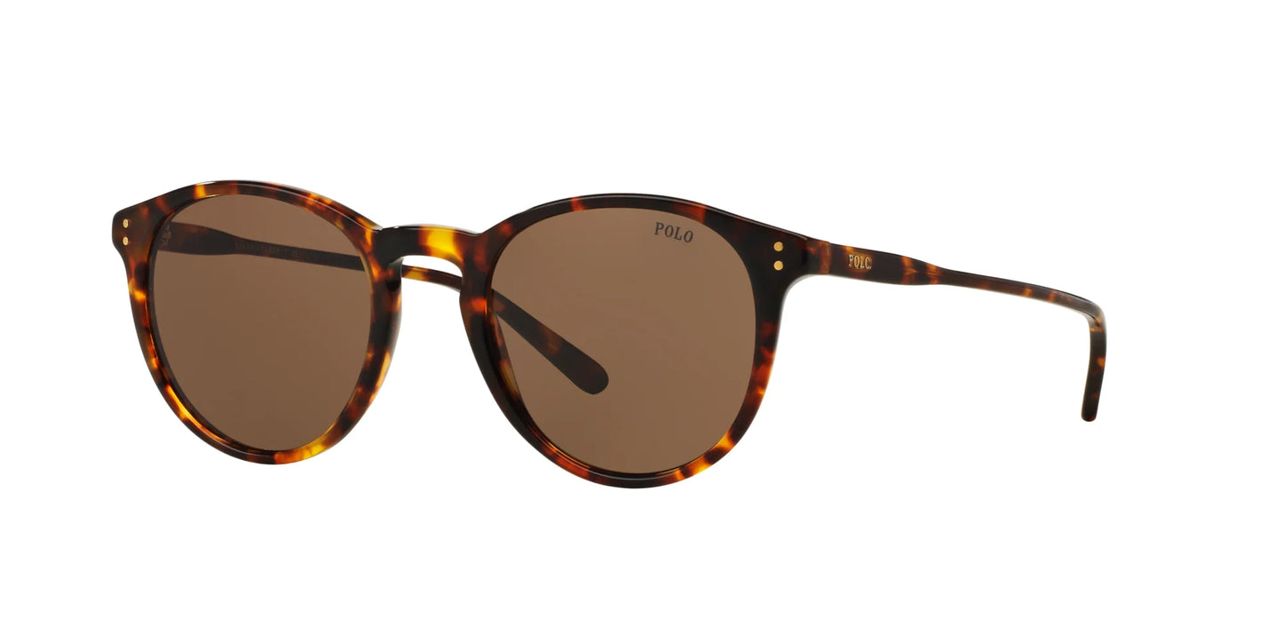 Polo PH4110 Sunglasses Havana / Brown