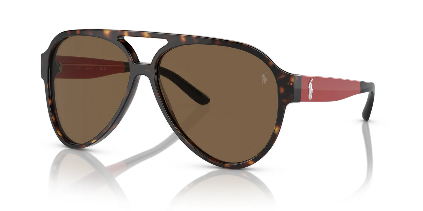Polo PH4130 Sunglasses Dark Havana / Dark Brown
