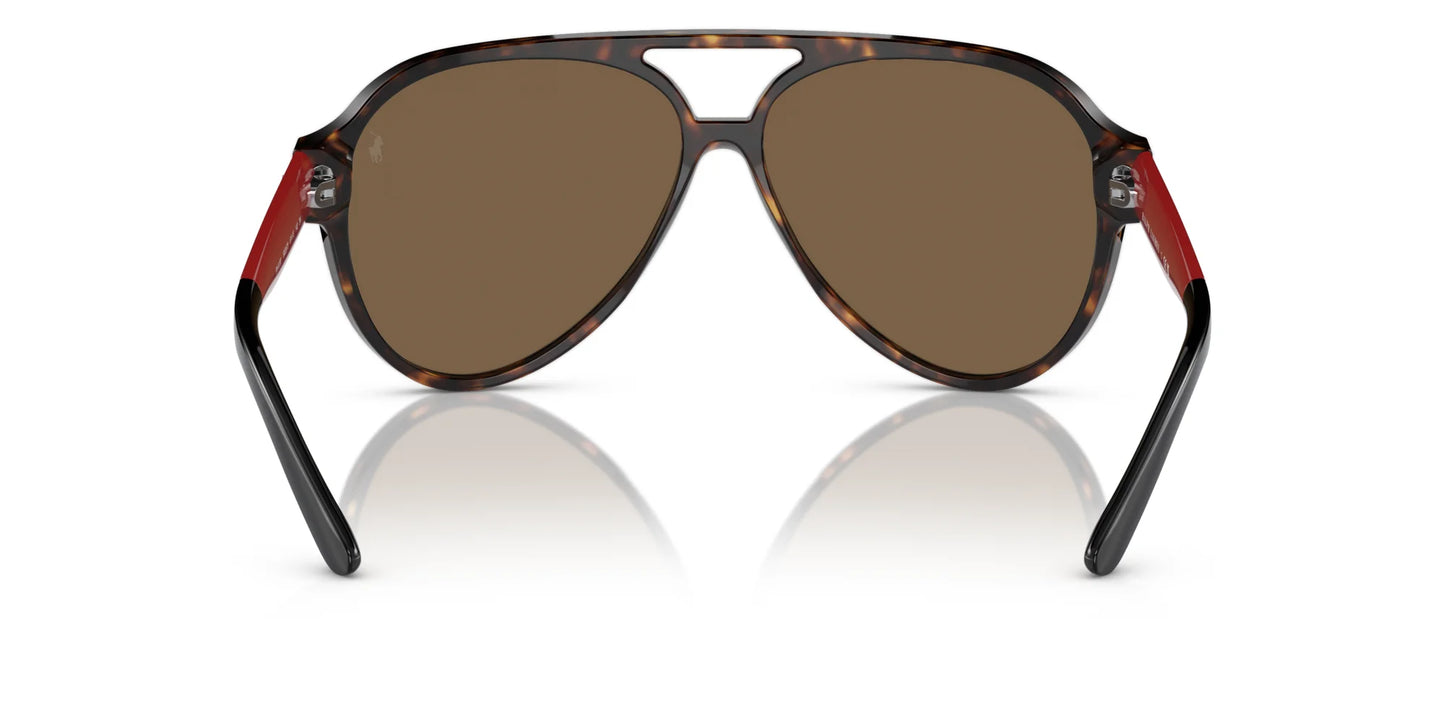 Polo PH4130 Sunglasses | Size 61