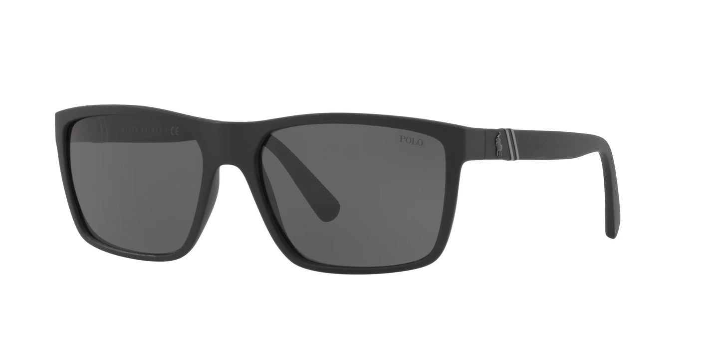Polo PH4133 Sunglasses Matte Black / Dark Grey