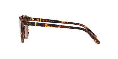 Polo PH4151 Sunglasses | Size 50
