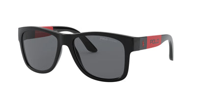 Polo PH4162 Sunglasses Shiny Black / Polarized Grey