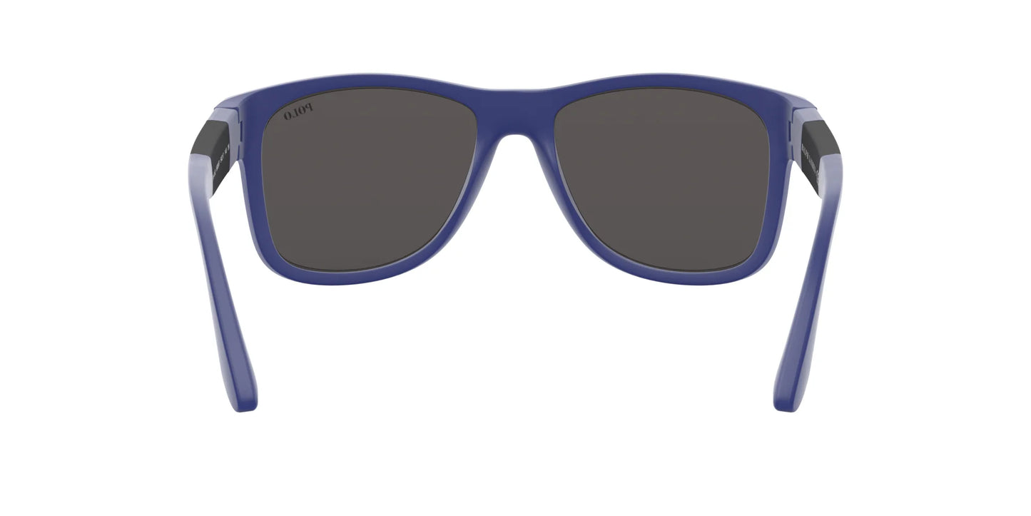 Polo PH4162 Sunglasses | Size 54