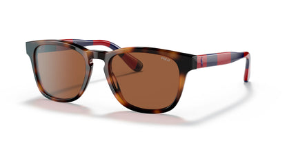 Polo PH4170 Sunglasses Shiny Jc Tortoise / Brown