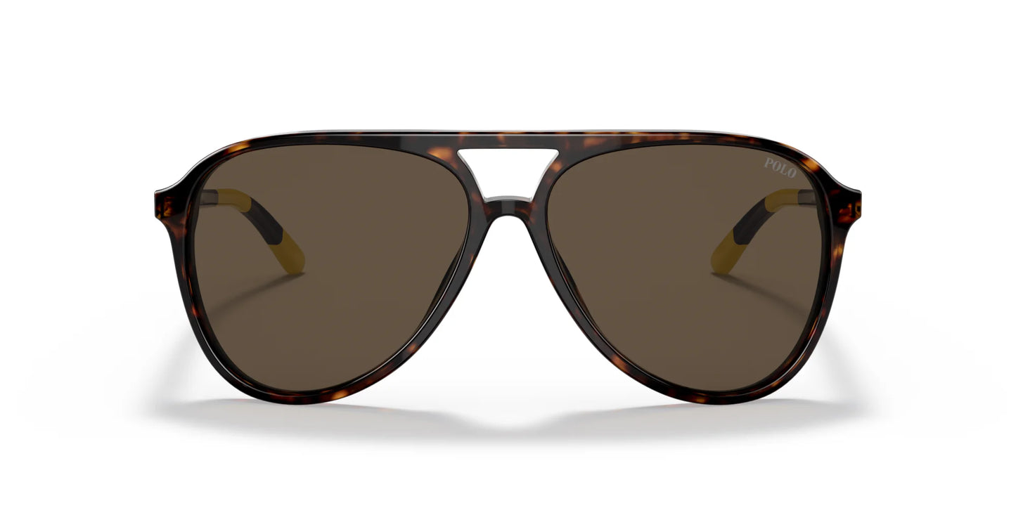 Polo PH4173 Sunglasses | Size 59
