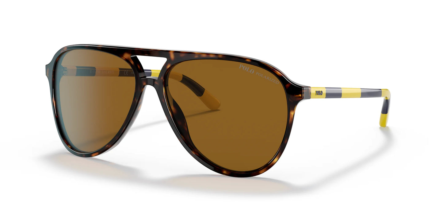Polo PH4173 Sunglasses Shiny Dark Havana / Polar Brown