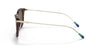 Polo PH4179U Sunglasses | Size 52 / Shiny Striped Havana / Brown (3N 14.5%)