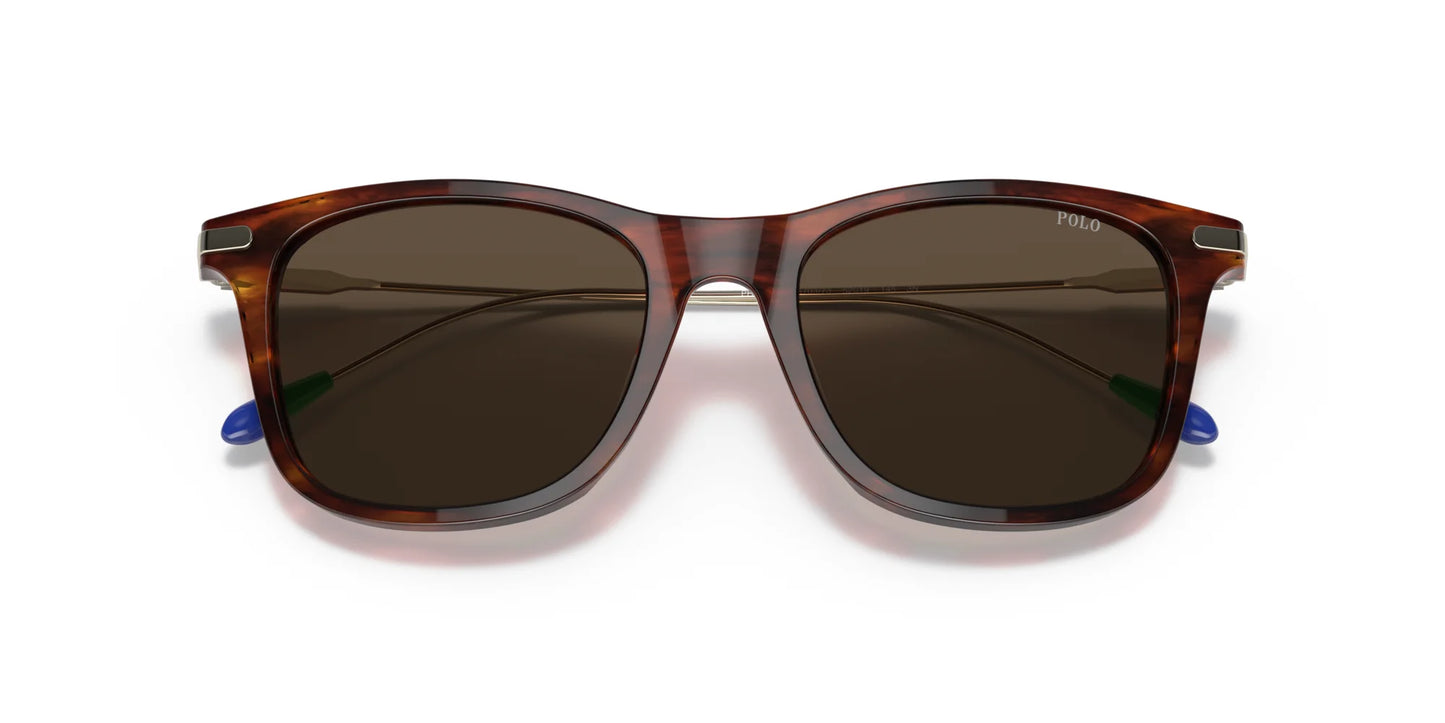 Polo PH4179U Sunglasses | Size 52