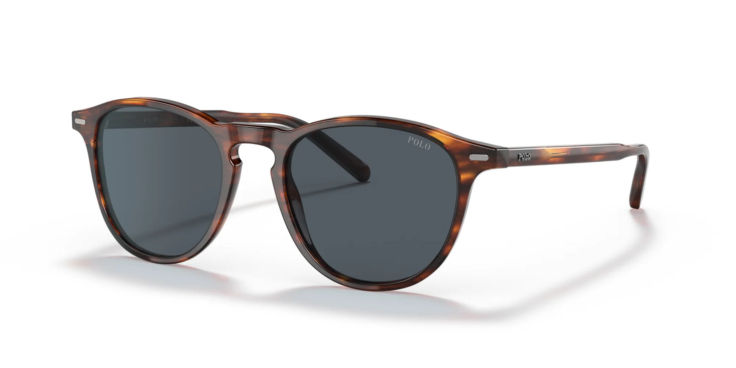 Polo PH4181 Sunglasses Shiny Striped Havana / Dark Grey