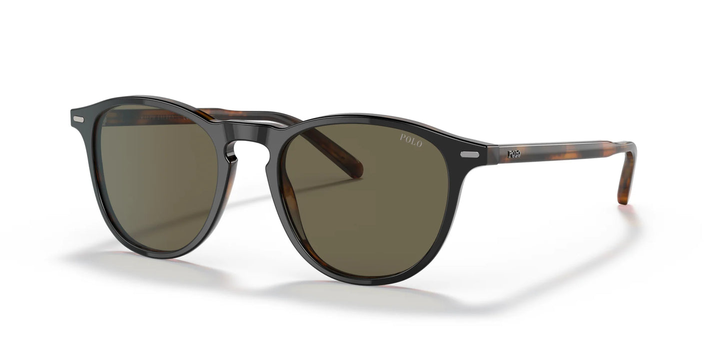 Polo PH4181 Sunglasses Shiny Black Havana / Brown