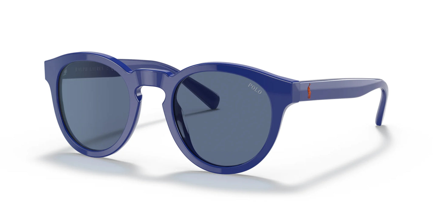 Polo PH4184 Sunglasses Shiny Royal Blue / Dark Blue