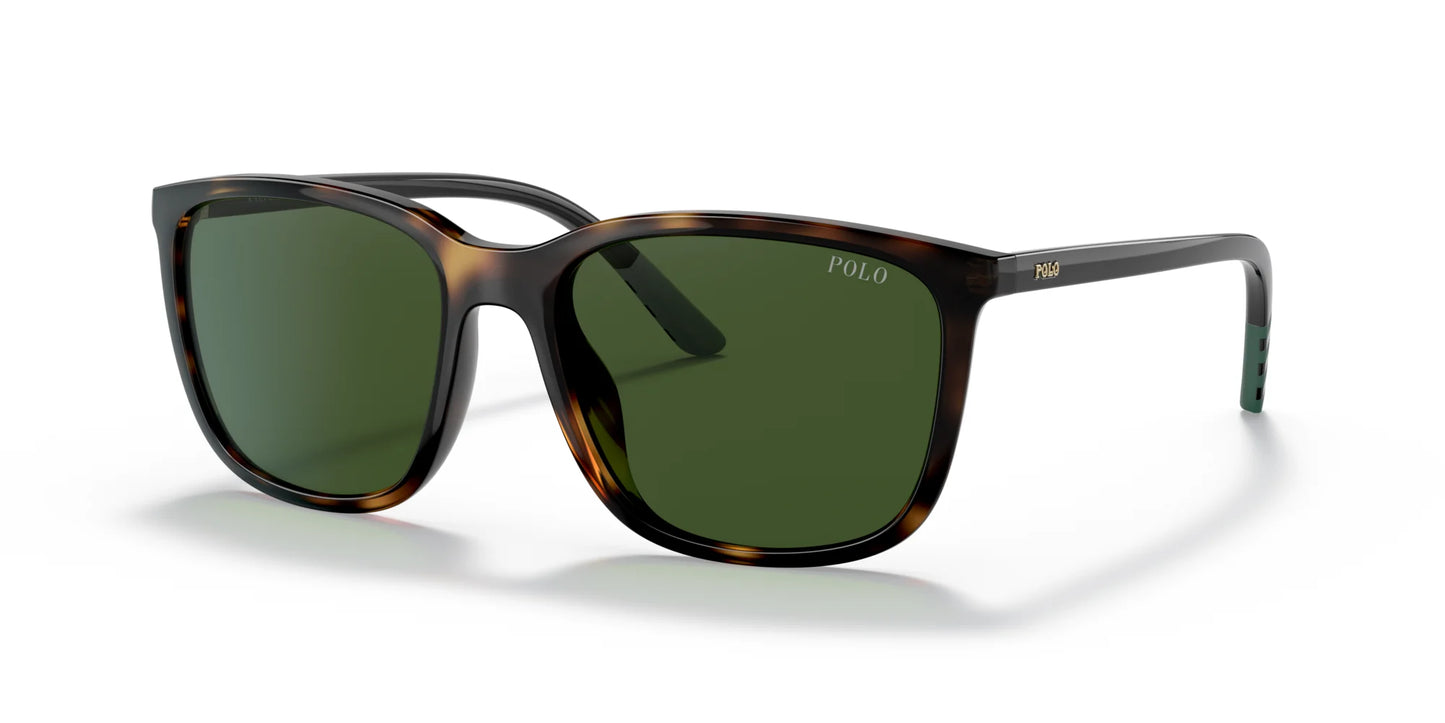 Polo PH4185U Sunglasses Shiny Havana / Dark Green