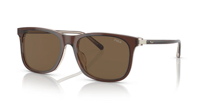 Polo PH4186U Sunglasses Shiny Transparent Brown On Crystal / Brown