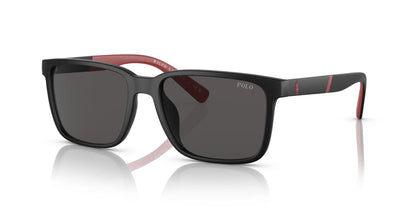 Polo PH4189U Sunglasses Matte Black / Dark Grey