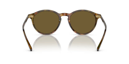 Polo PH4193 Sunglasses | Size 51