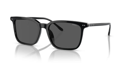 Polo PH4194U Sunglasses Shiny Black / Grey