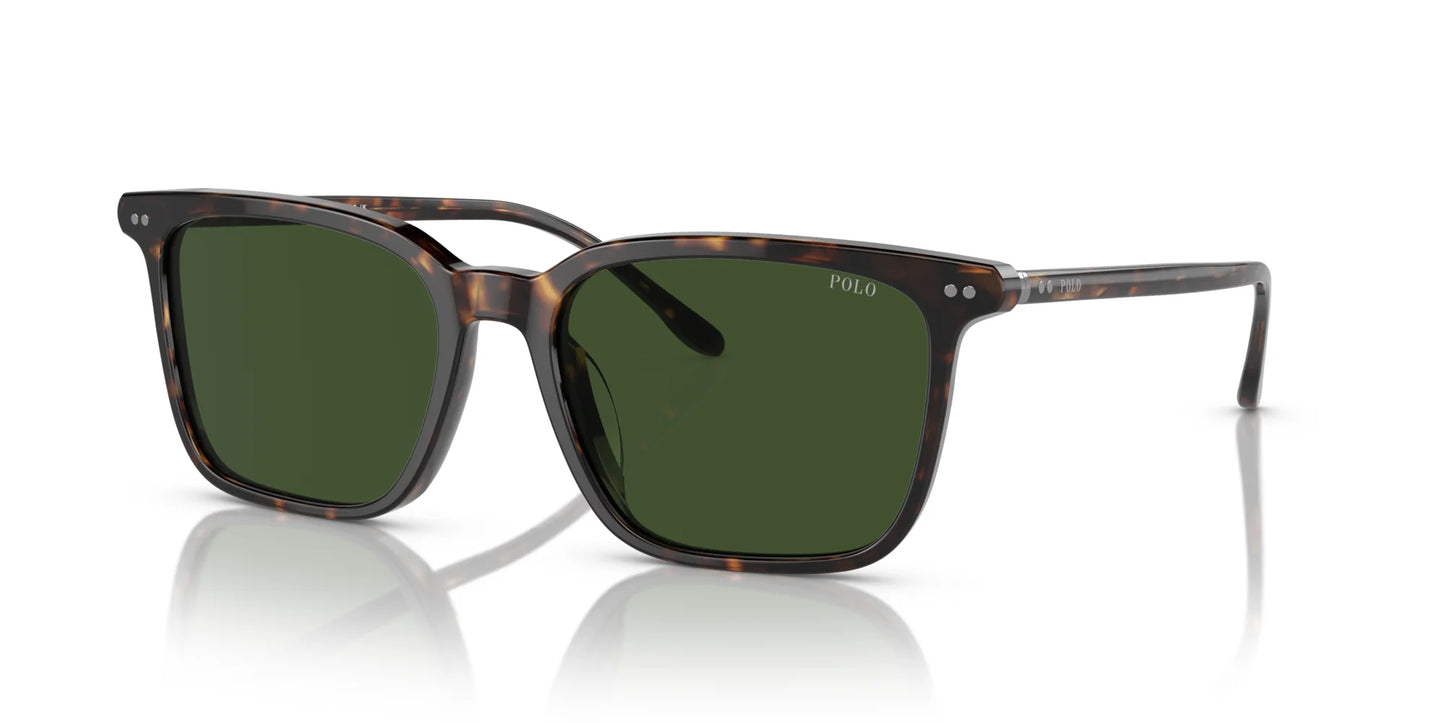 Polo PH4194U Sunglasses Shiny Dark Havana / Dark Green