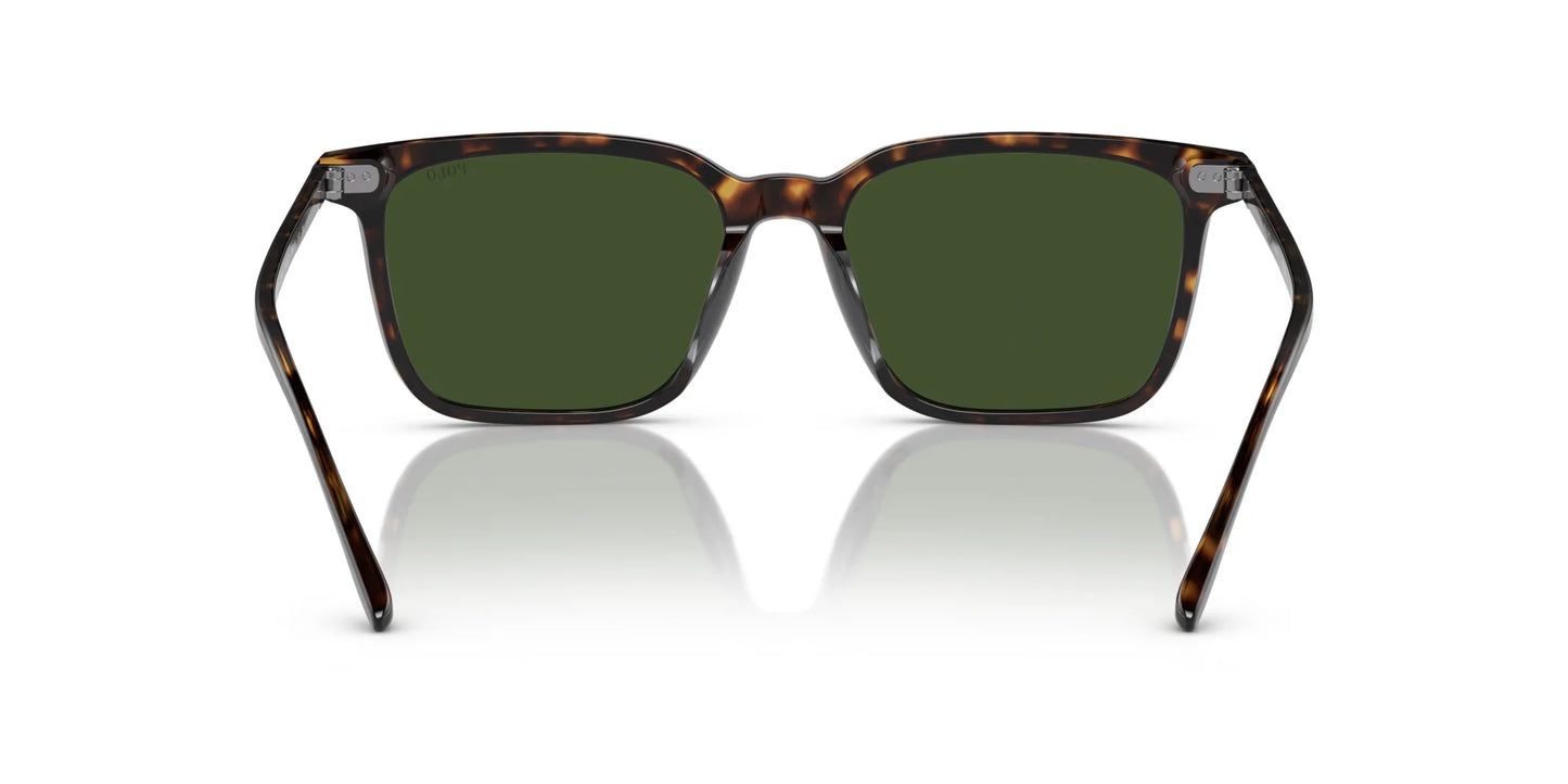 Polo PH4194U Sunglasses | Size 56