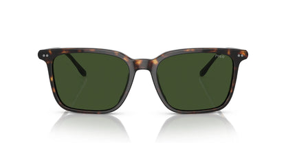 Polo PH4194U Sunglasses | Size 56