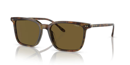 Polo PH4194U Sunglasses Shiny Beige Tortoise / Olive Green