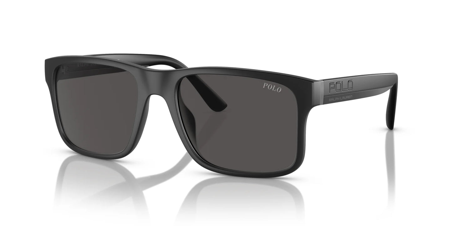 Polo PH4195U Sunglasses Matte Black / Dark Grey