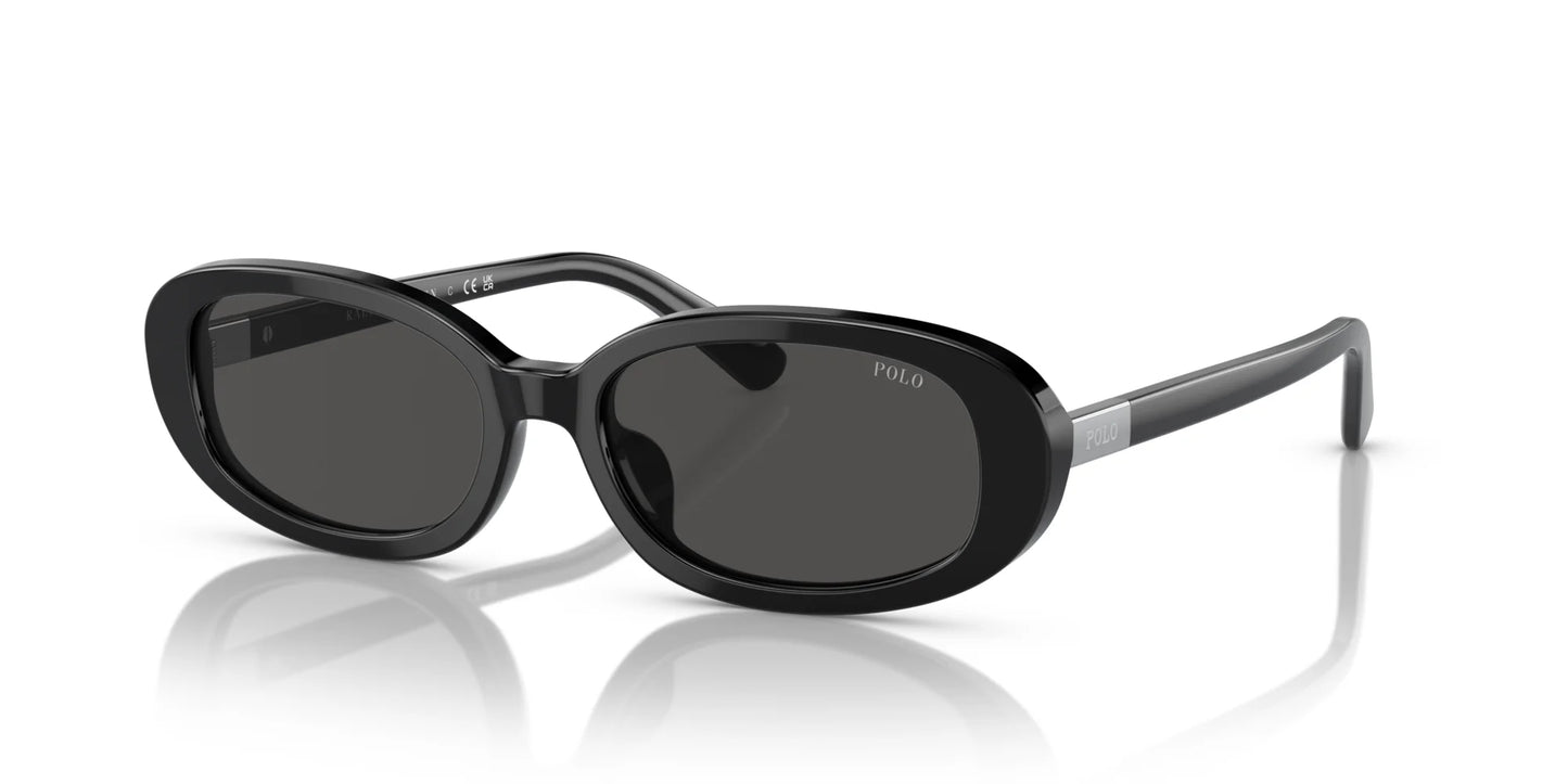 Polo PH4198U Sunglasses Shiny Black / Dark Grey