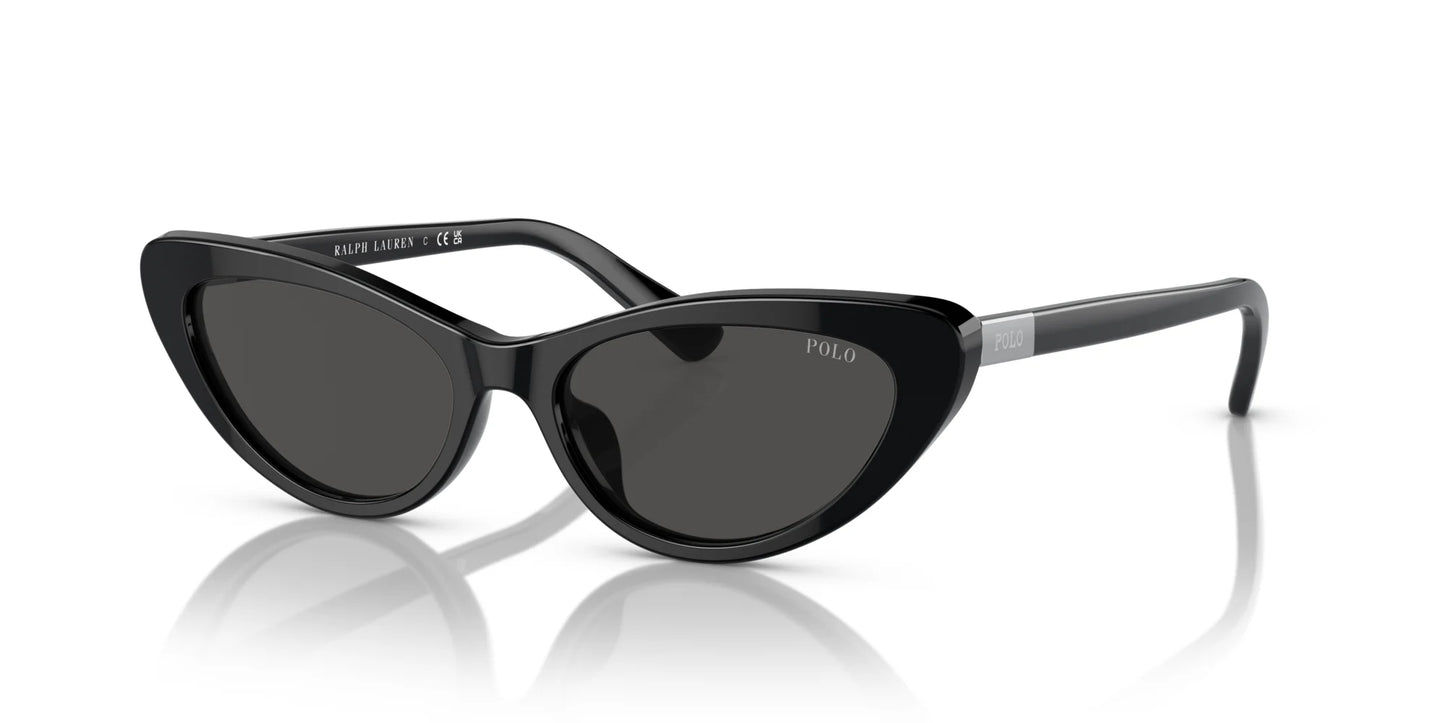Polo PH4199U Sunglasses Shiny Black / Dark Grey