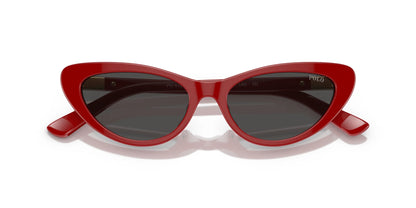 Polo PH4199U Sunglasses | Size 54