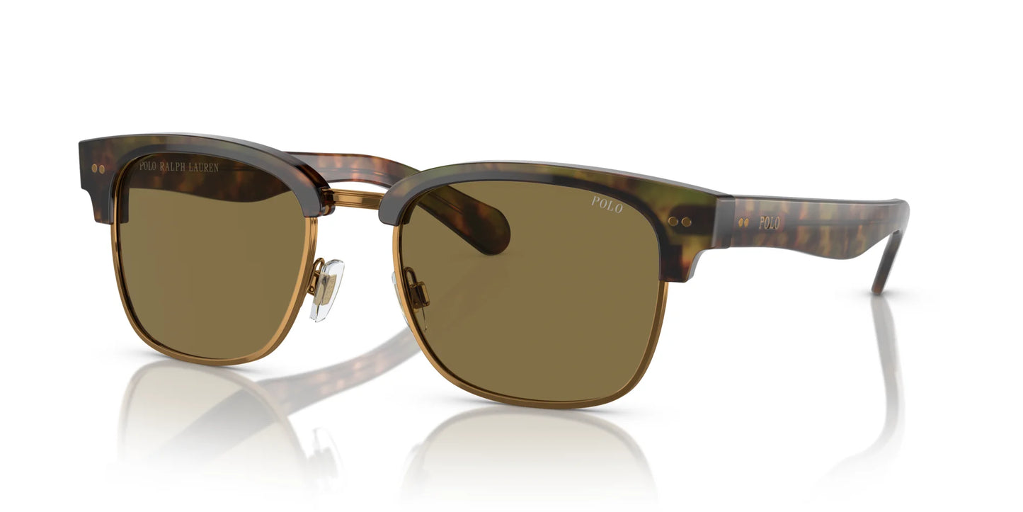 Polo PH4202 Sunglasses Shiny Beige Tortoise / Green