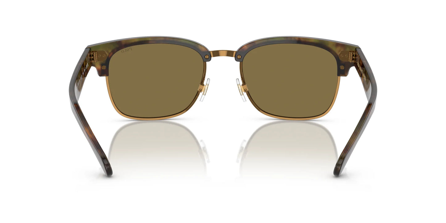 Polo PH4202 Sunglasses | Size 55