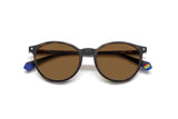 Polaroid 6137 CS Sunglasses