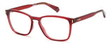 Polaroid D462 Eyeglasses