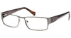 Police 8428 Eyeglasses / Gunmetal Black / Turquoise / Size M