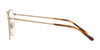 Polo PH1179 Eyeglasses | Size 48 / Havana On Shiny Gold №9384