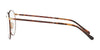 Polo PH1179 Eyeglasses | Size 48 / Havana On Shiny Gold №9384
