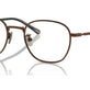 Shiny Brushed Brown №9147