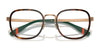 Polo PH1231 Eyeglasses / Black/Gunmetal №9216 / Size 52