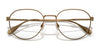 Polo PH1233 Eyeglasses