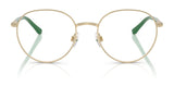 Polo PH1236 Eyeglasses