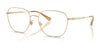 Polo PH1237 Eyeglasses / Semishiny Pale Gold №9211 / Size 55