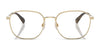 Polo PH1242 Eyeglasses / Brushed Silver №9088 / Size 53
