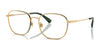 Polo PH1242 Eyeglasses / Shiny Brass №9402 / Size 53