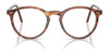 Polo PH2083 Eyeglasses / Havana №5007 / Size 46