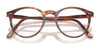Polo PH2083 Eyeglasses / Havana №5007 / Size 46