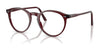 Polo PH2083 Eyeglasses / Shiny Opal Red №6146 / Size 46