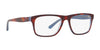 Polo PH2211 Eyeglasses | Size 55 / Havana/Azure/Transparent Azure №5786